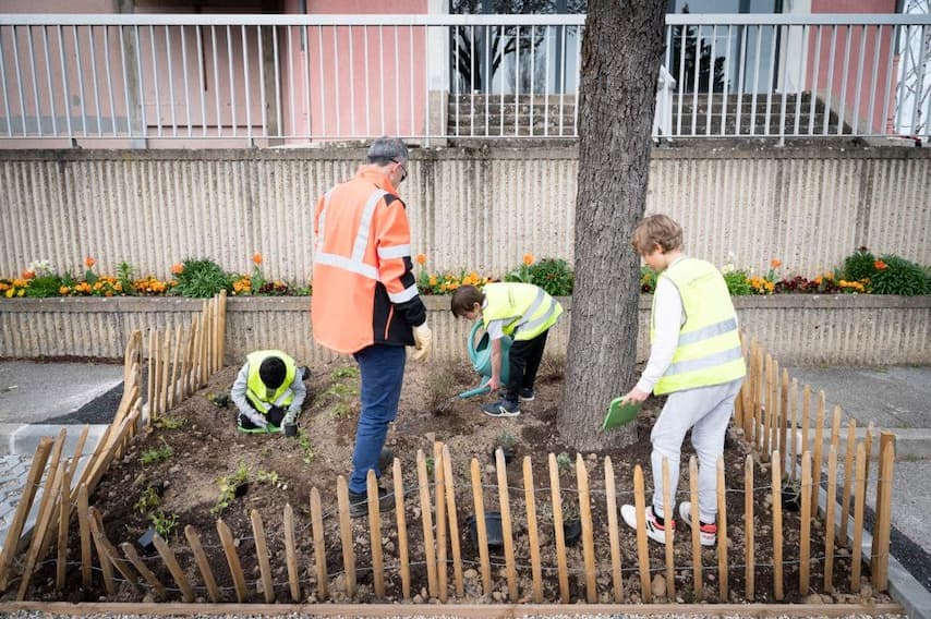 À Lyon, les arbres de pluie comme armes de résilience