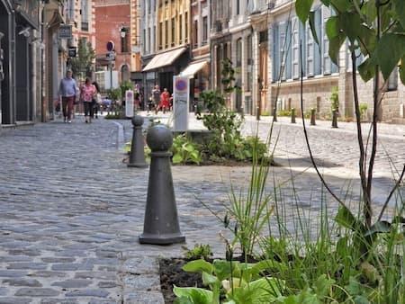 “Verdissons nos murs”, le programme de Lille pour végétaliser ses façades
